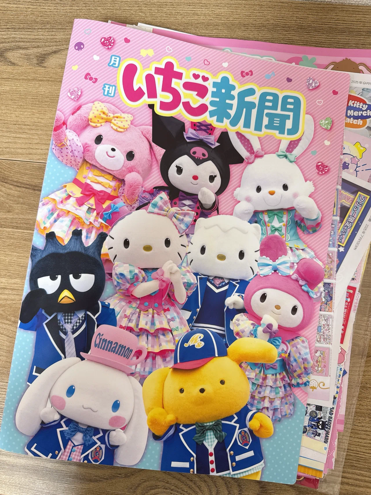 収納方法】サンリオいちご新聞｜うめ子(Yui)
