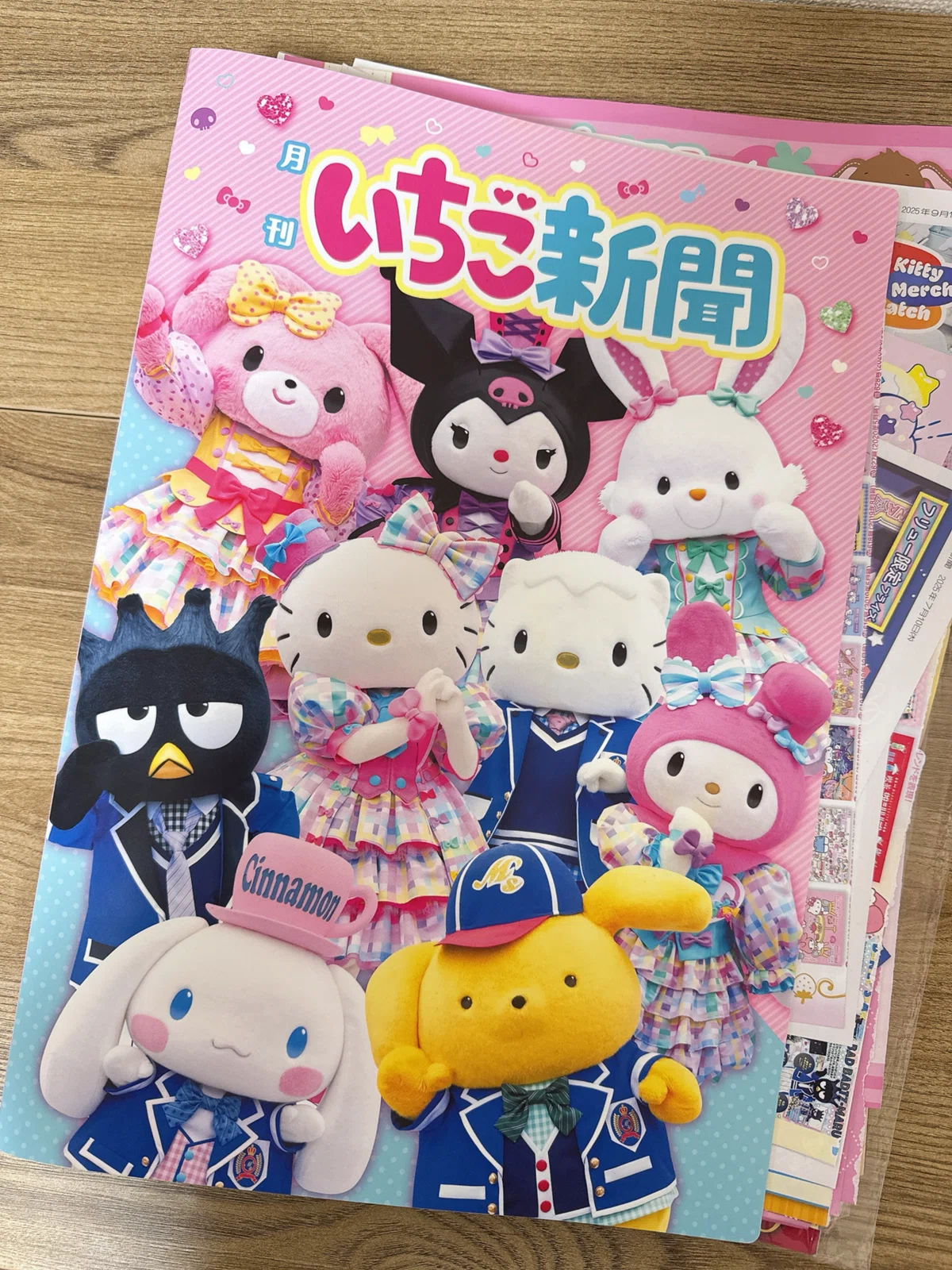 収納方法】サンリオいちご新聞｜うめ子(Yui)