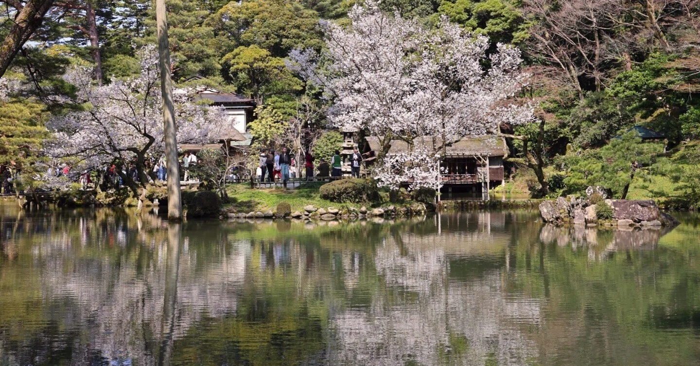 金沢・兼六園で桜スナップ＃01 EOS R8｜kenken