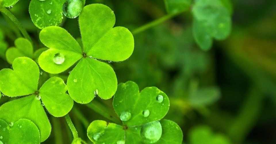 喘息とアトピー 大学時代 アトピーで入院 ムスティ Note