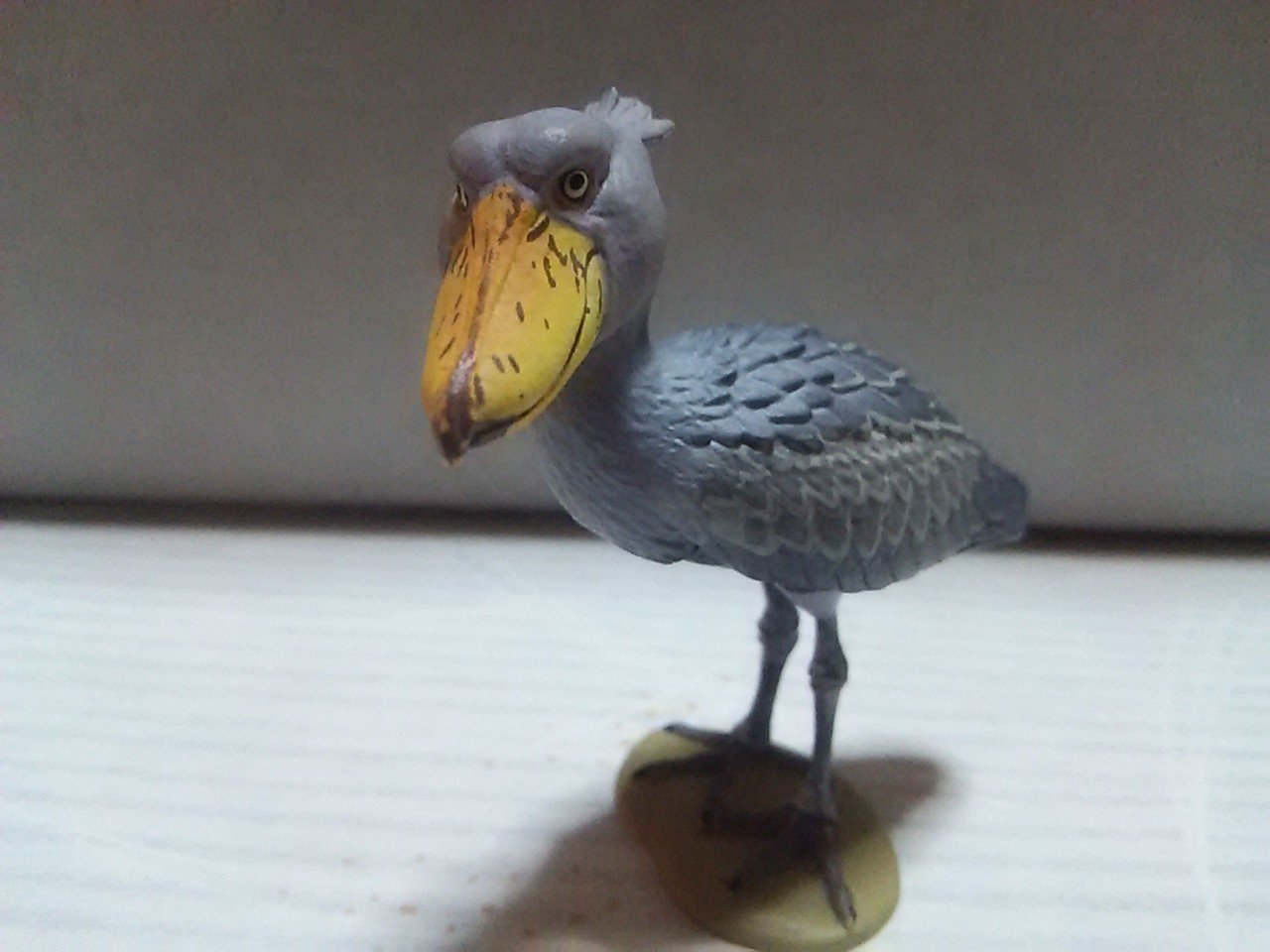 ハシビロコウ Kataoka Note ハシビロコウ Kataoka Note