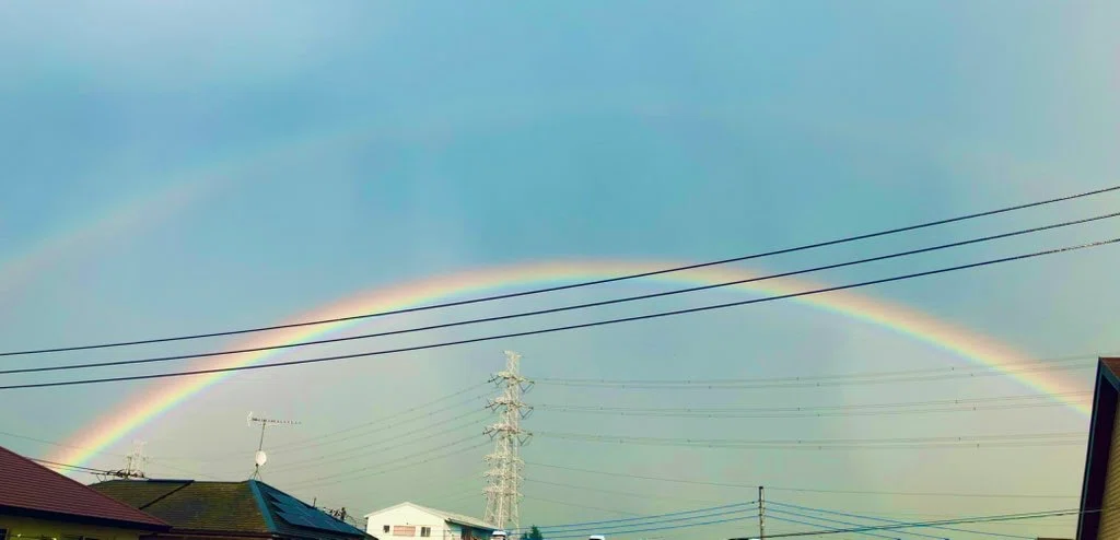 大好きだったくうちゃんと見る空|Sui