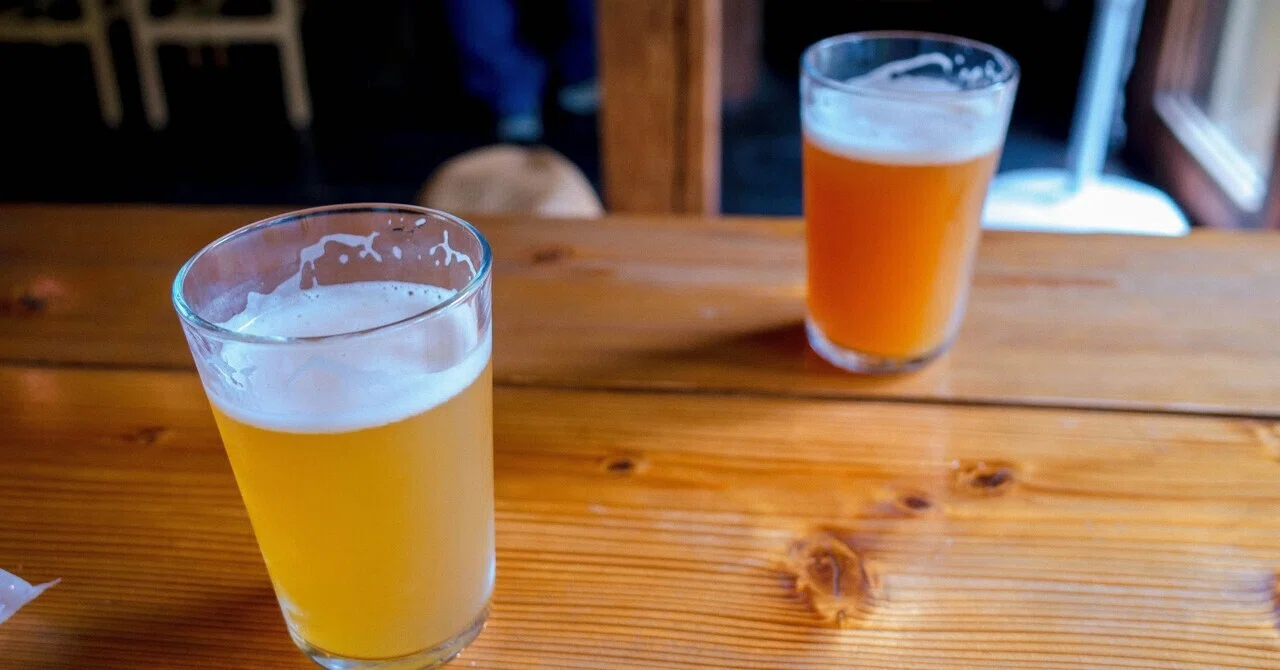 キリンの株を買ったら、ビールが少し特別な飲み物になった——株主優待から始める高配当投資