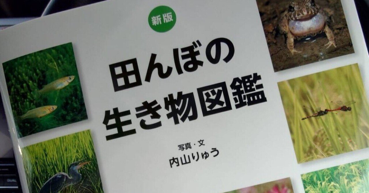 新バイブルの予感】新版 田んぼの生き物図鑑｜龍の魂チャンネル