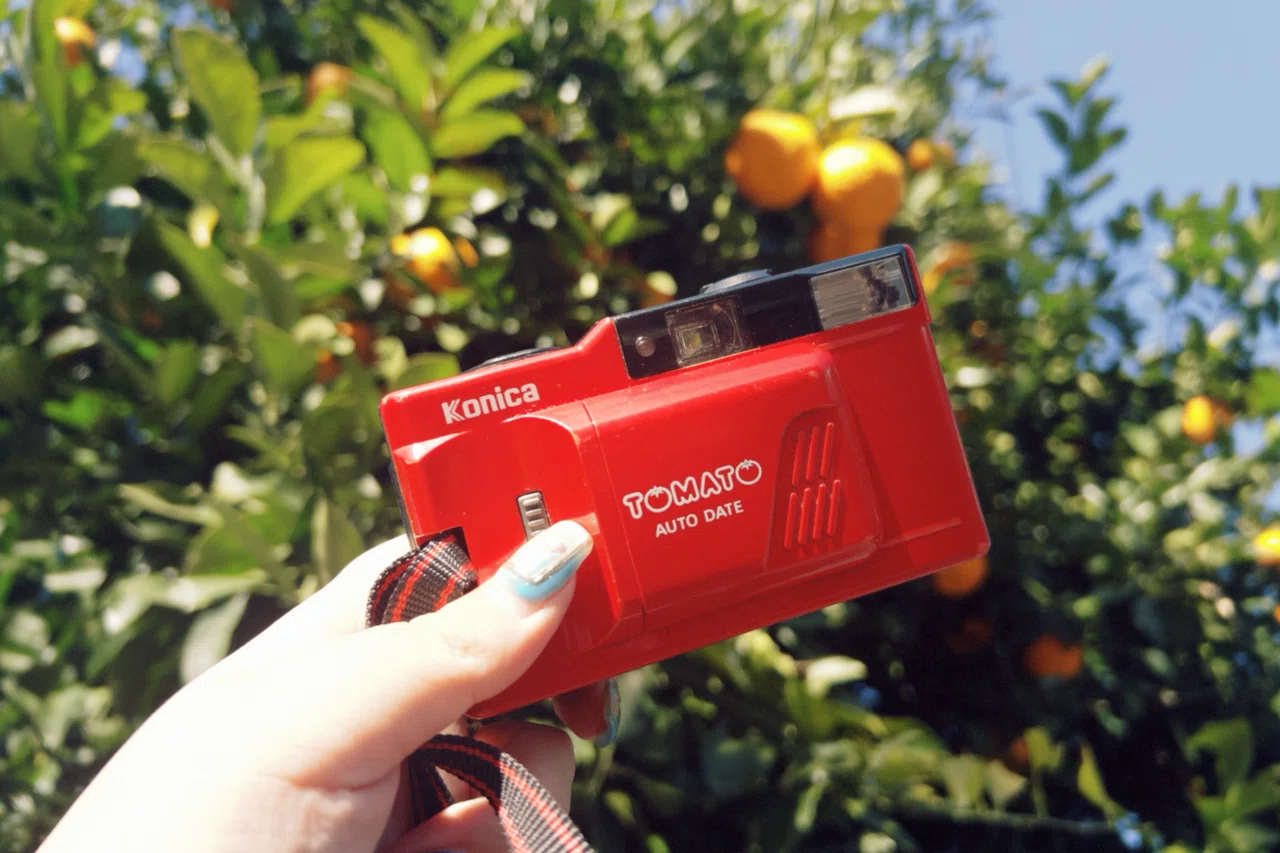【動作確認済】Konica TOMATO AUTO DATE 実働品　作例あり ポップでキュートなカメラ「TOMATO🍅」｜かまた