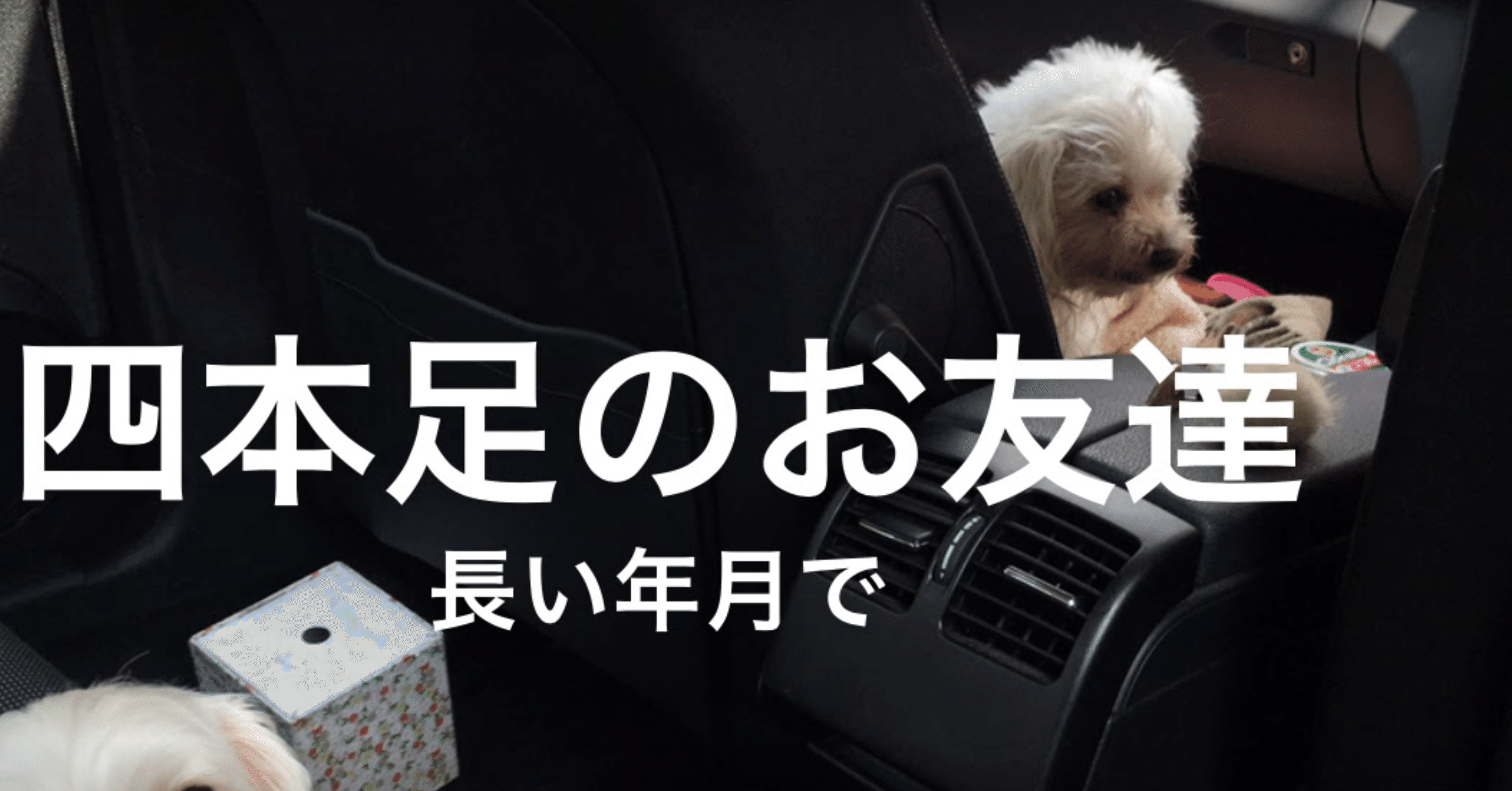 がらにもなく生きることとか死ぬことについて考えていた 落合陽一 Note