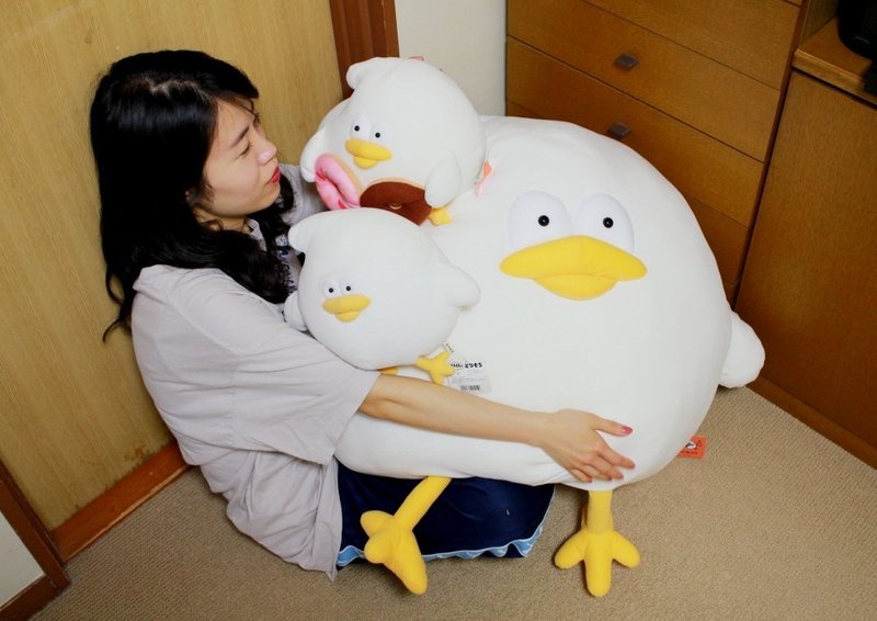 安住の日々 大平順子 5月16日 土 安住の地 Note