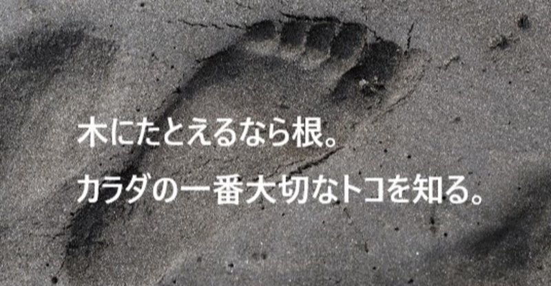 爪甲下角質増殖 の新着タグ記事一覧 Note つくる つながる とどける 爪甲下角質増殖 の新着タグ記事一覧 Note つくる つながる とどける