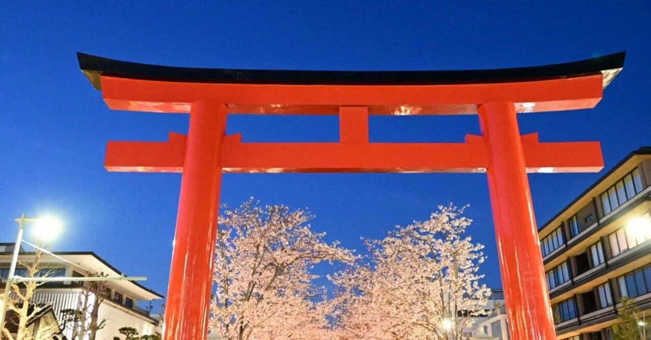 夜桜様　お取り置き8/16まで 鎌倉 段葛の夜桜 2026年4月｜sho@かまふち 管理人|国宝・城・世界遺産