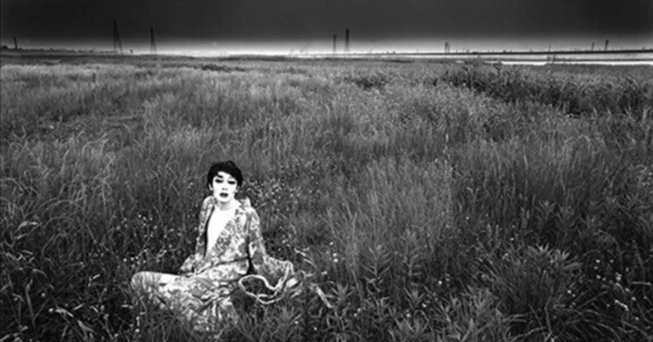 Cherry Orchard (Luta Libre) 108 Senryu Poems｜川合大祐
