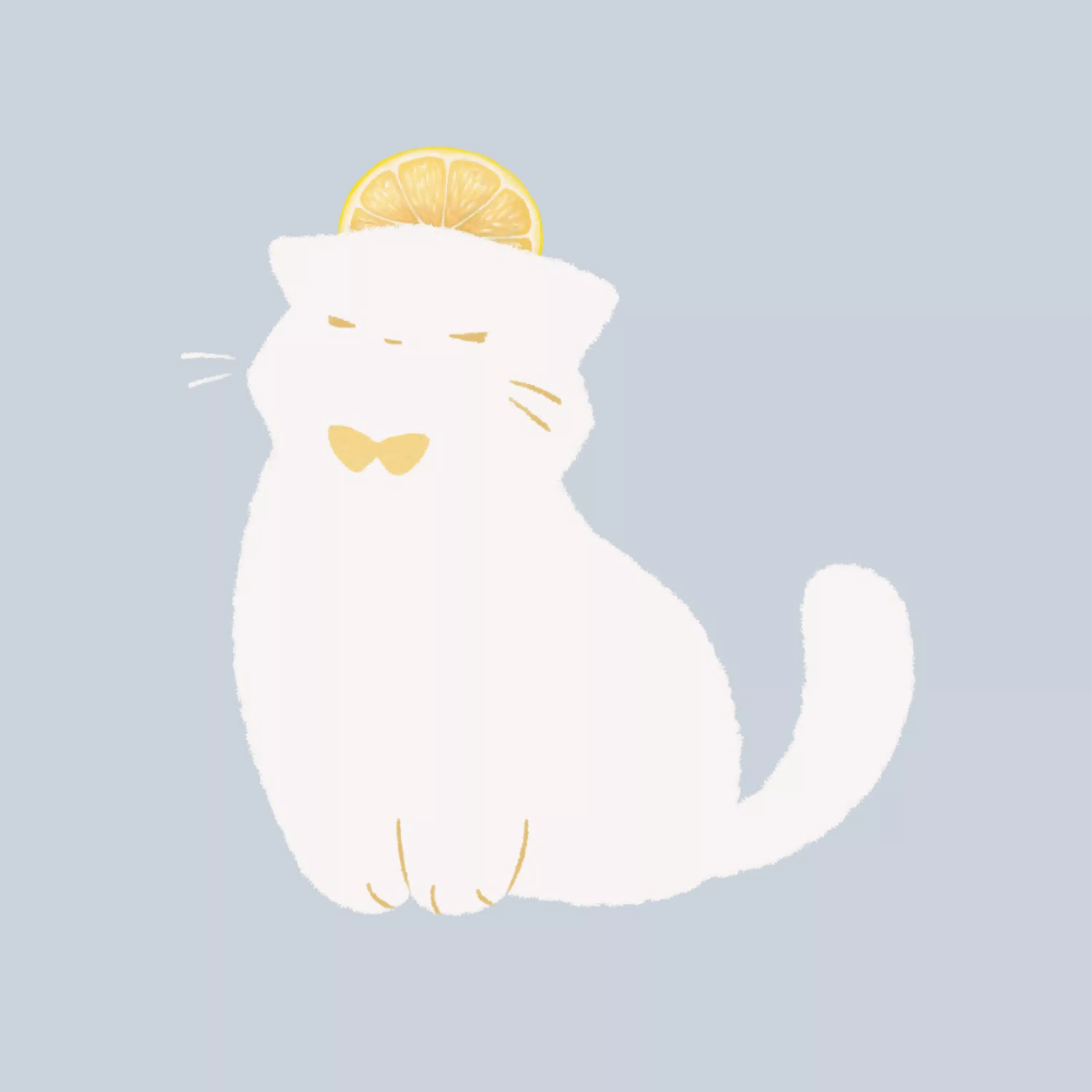 ふみ