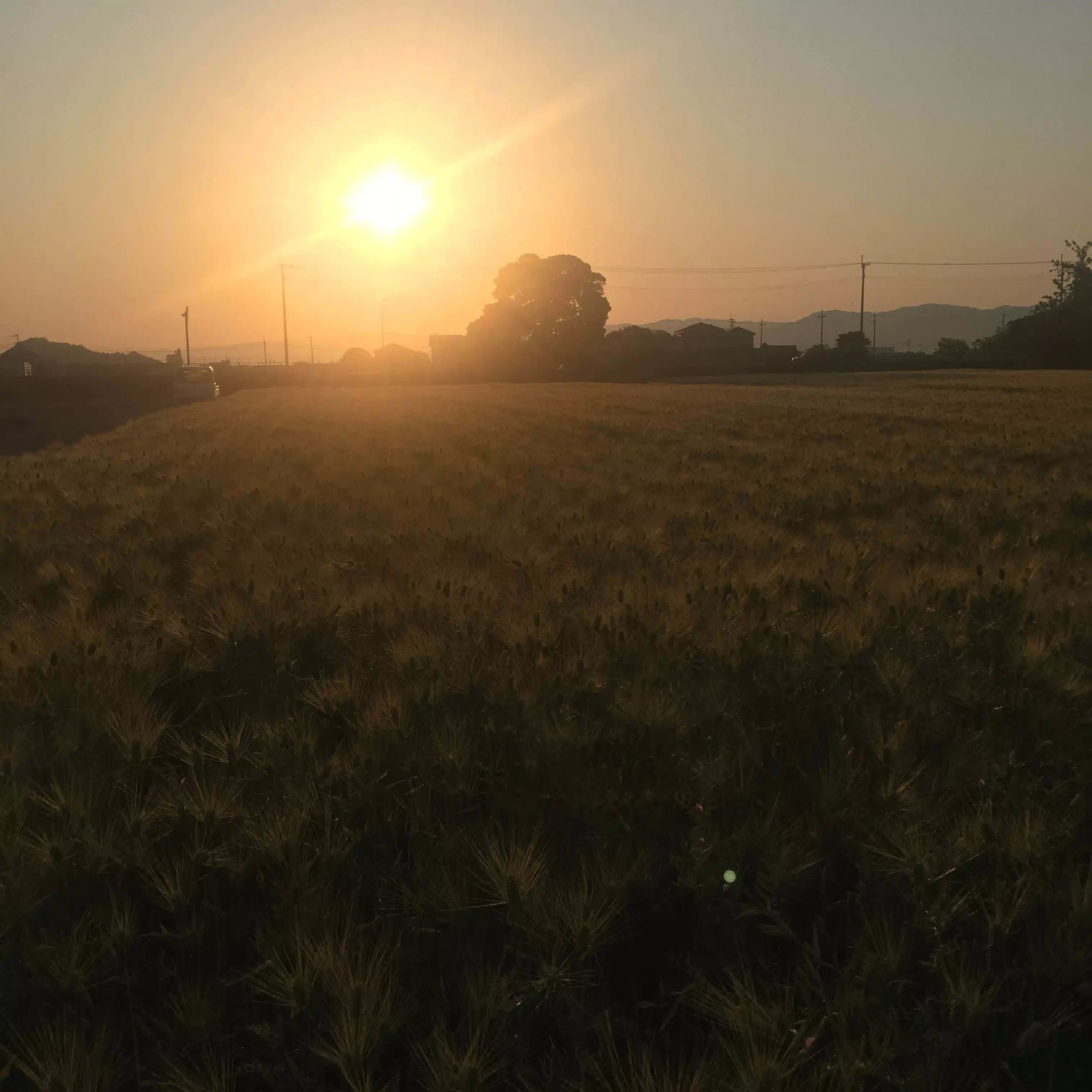 きんた岩永欣也