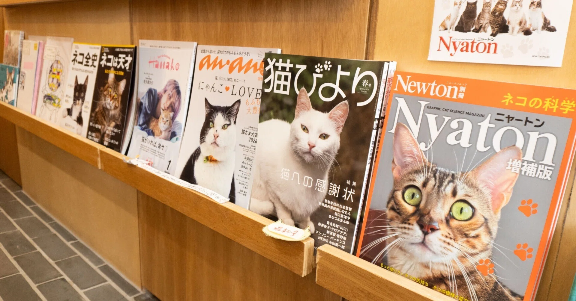 猫店員に会える書店「キャッツミャウブックス」に行ってきた話｜森潤也