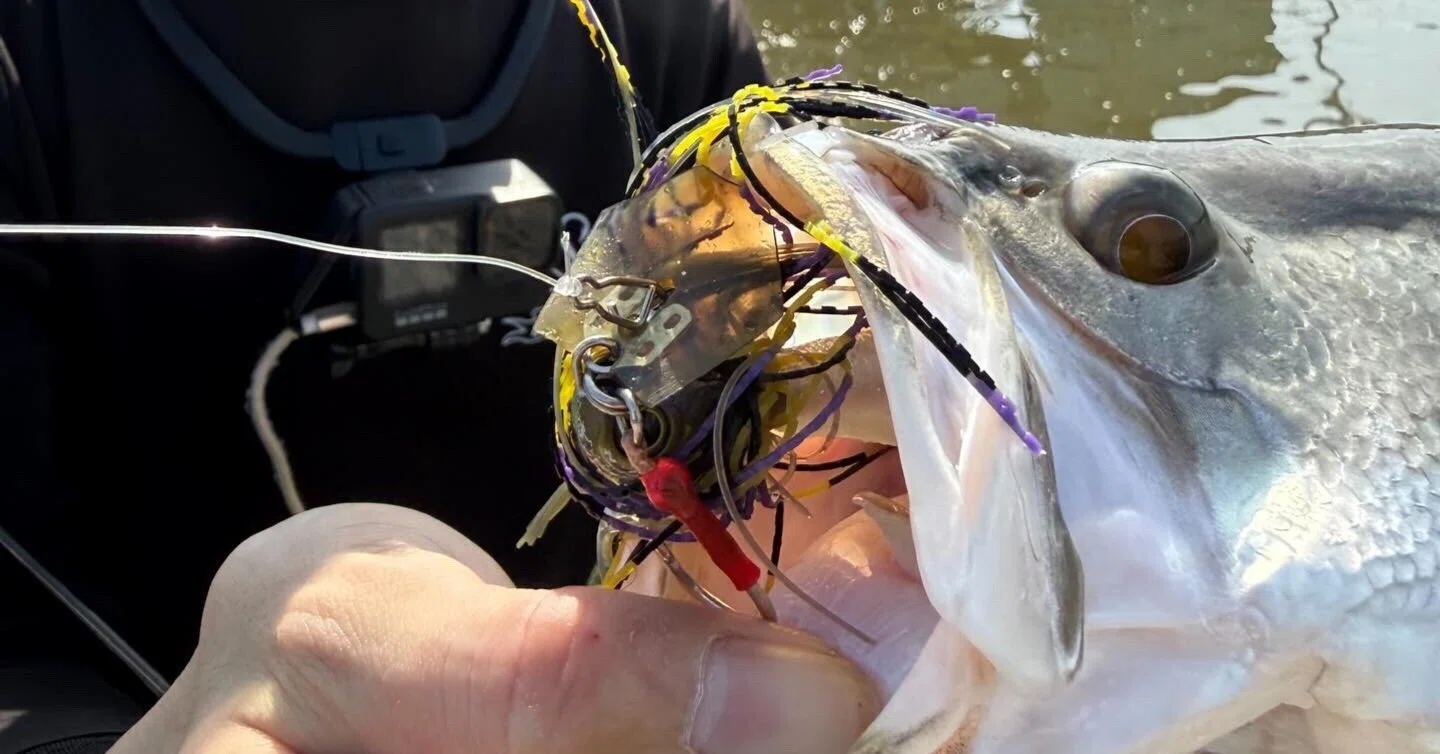 ふらっと台湾まで怪魚釣りに行った話～【後篇】バラマンディと 