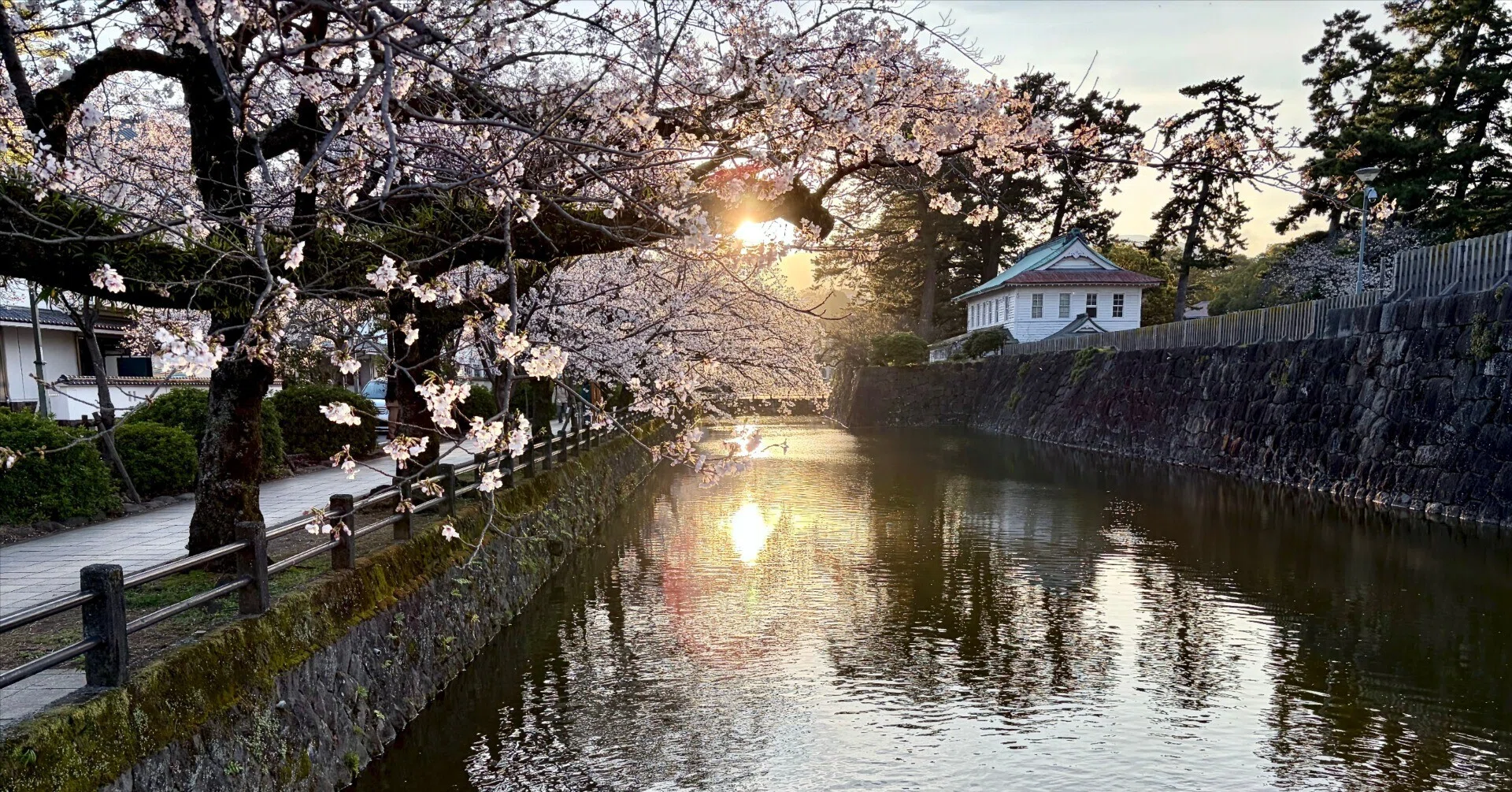 毎年恒例のマイ行事「小田原城の桜（ライトアップあり）鑑賞」｜屋台の