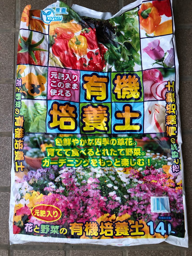 ベビーリーフ年初収穫できました グローバルこうちゃん Note ベビーリーフ年初収穫できました グローバルこうちゃん Note