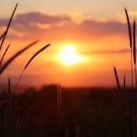 幸福の王子 と 幸福な王子 嫁島 よめしま Note