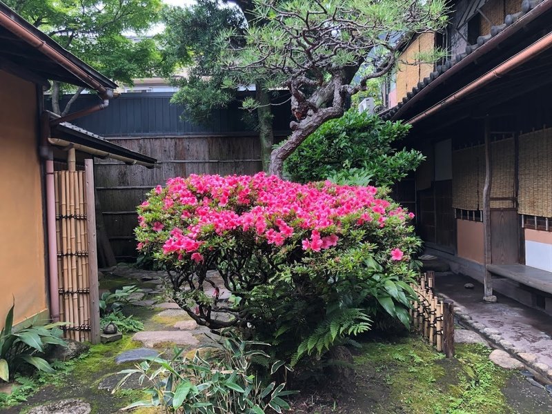 御懐石志ら玉 初夏のお茶会席ツアー～志ら玉 主人がご案内いたします。季節の食、器、お茶の文化をご堪能～名古屋愛知観光旅行35