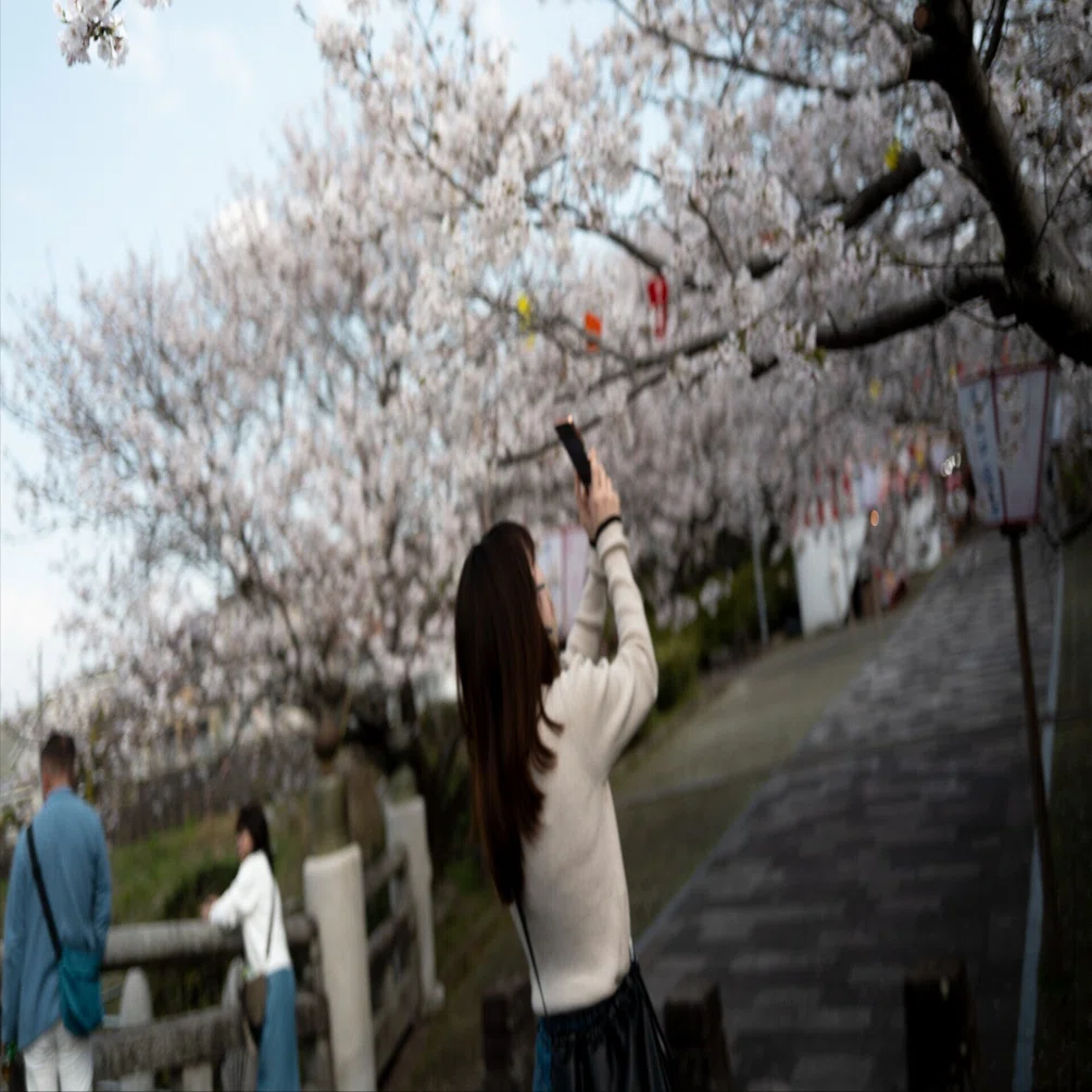 さくら咲く＠Leica Q3｜四月卯月