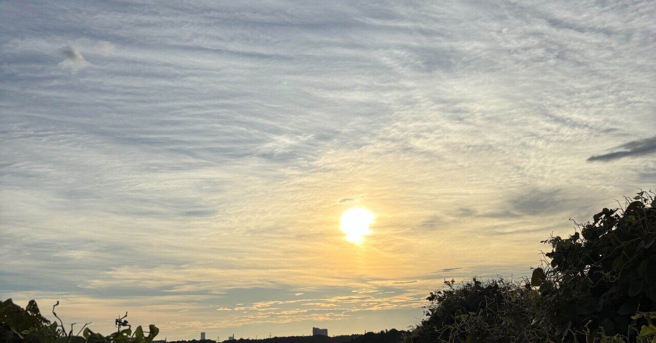 The Power of 30 Minutes: How a Morning Routine Can Transform Your Life