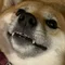 林しかお