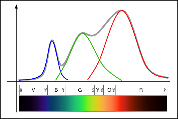 LED電球スペクトル分解