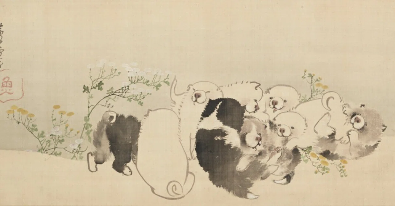長沢蘆雪」展出品作④ 蘆雪《菊花子犬図》江戸時代中期、18世紀｜毎日