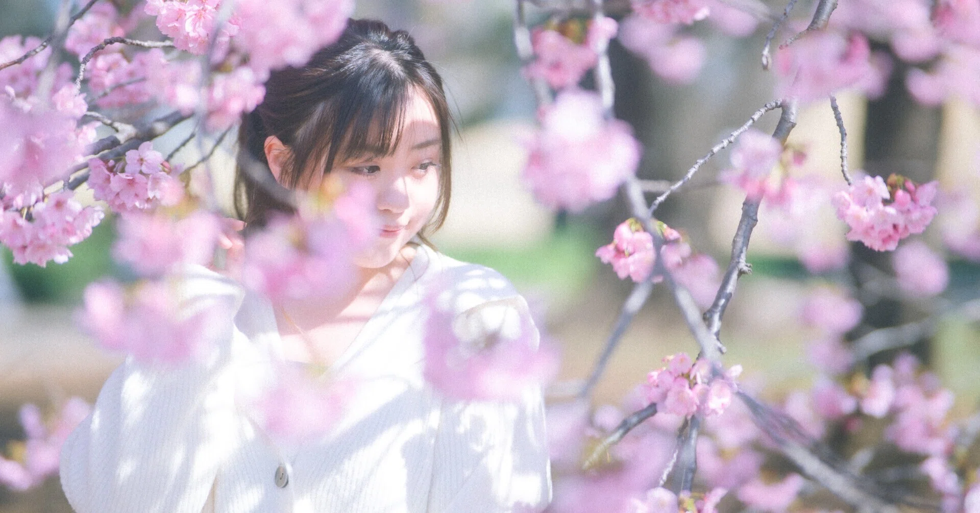 Friar Crafts. ポートレート Nikon Zfで撮る桜ポートレート｜くまモン兄さん