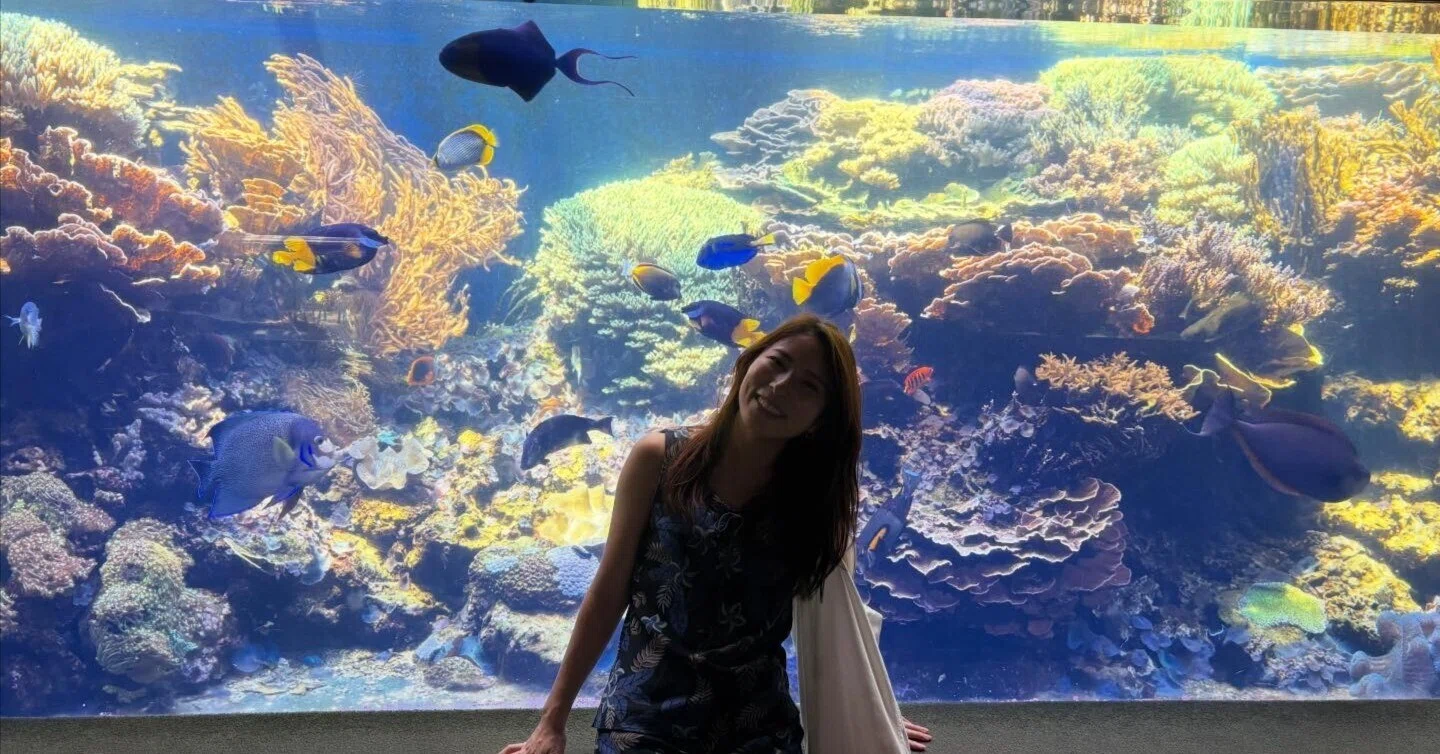 サンゴ遠征 vol.6｜ワイキキ水族館で、サンゴ好き涎垂の神水槽に出会う