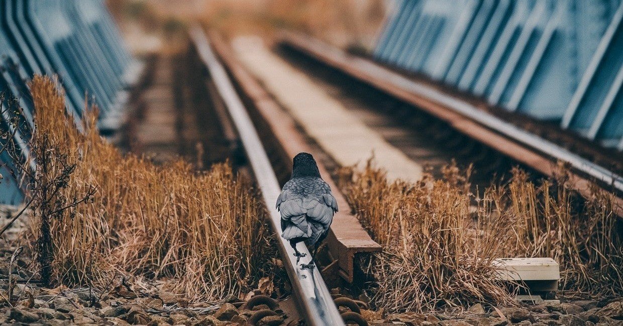 書評 あなたの人生の科学 上 下 しろみそ Note