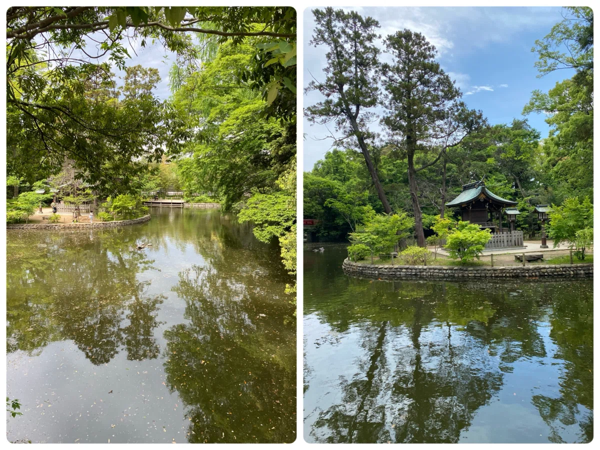 武蔵国一宮氷川神社　神池と宗像神社