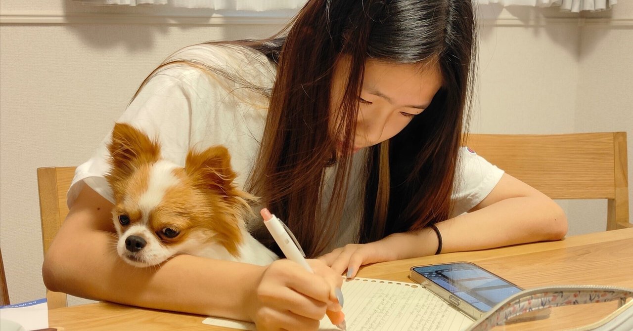 沖縄研修旅行の異質さ 2｜辺野古ボート転覆事故遺族メモ