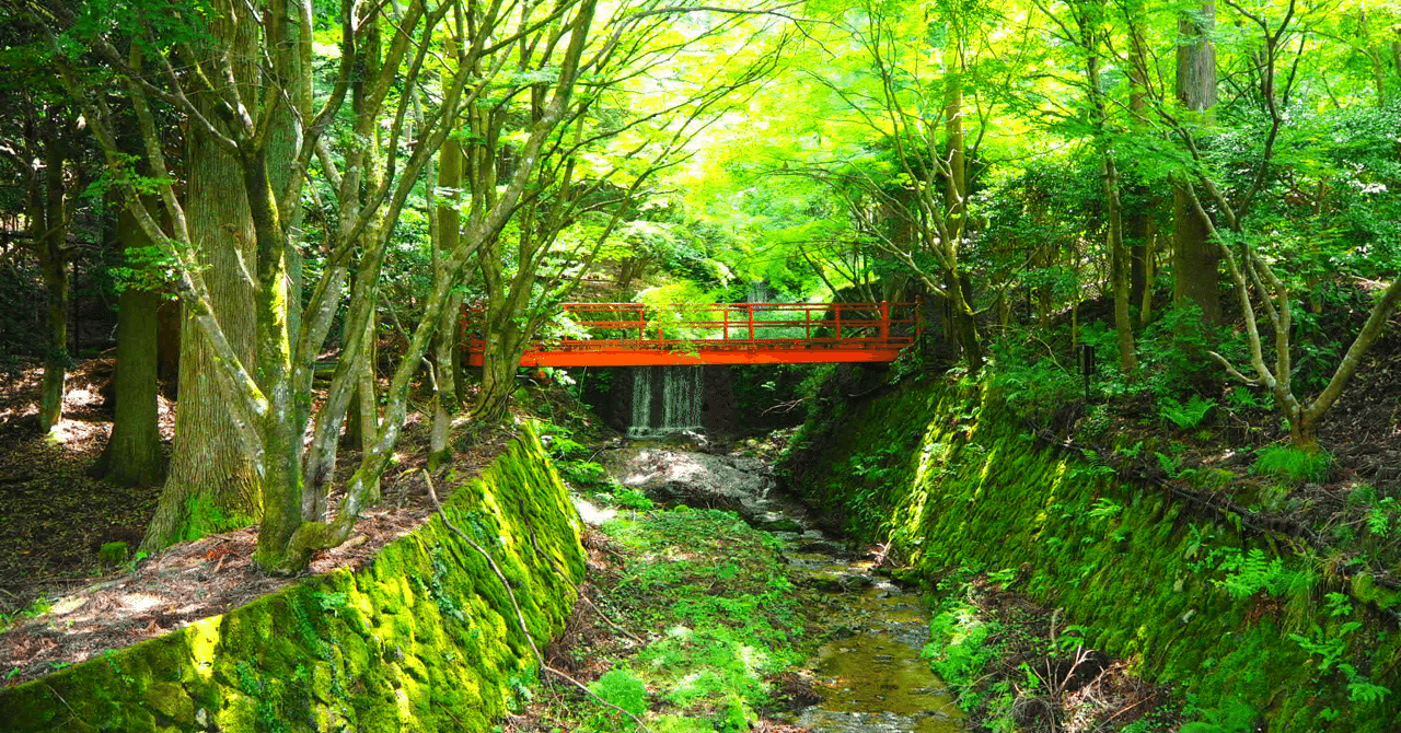 To Live Without Hope Is To Cease To Live 素人カメラマン Note