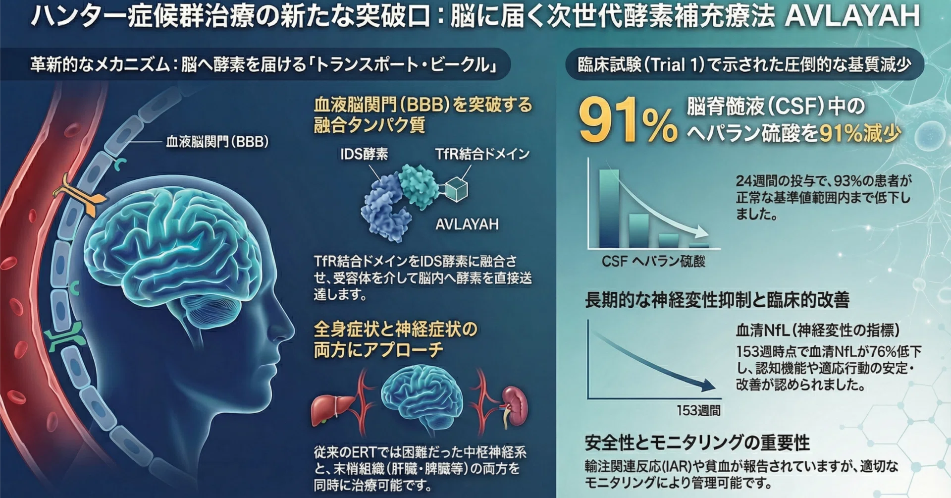 AVLAYAH（tividenofusp alfa）がムコ多糖症 II型（ハンター症候群）の