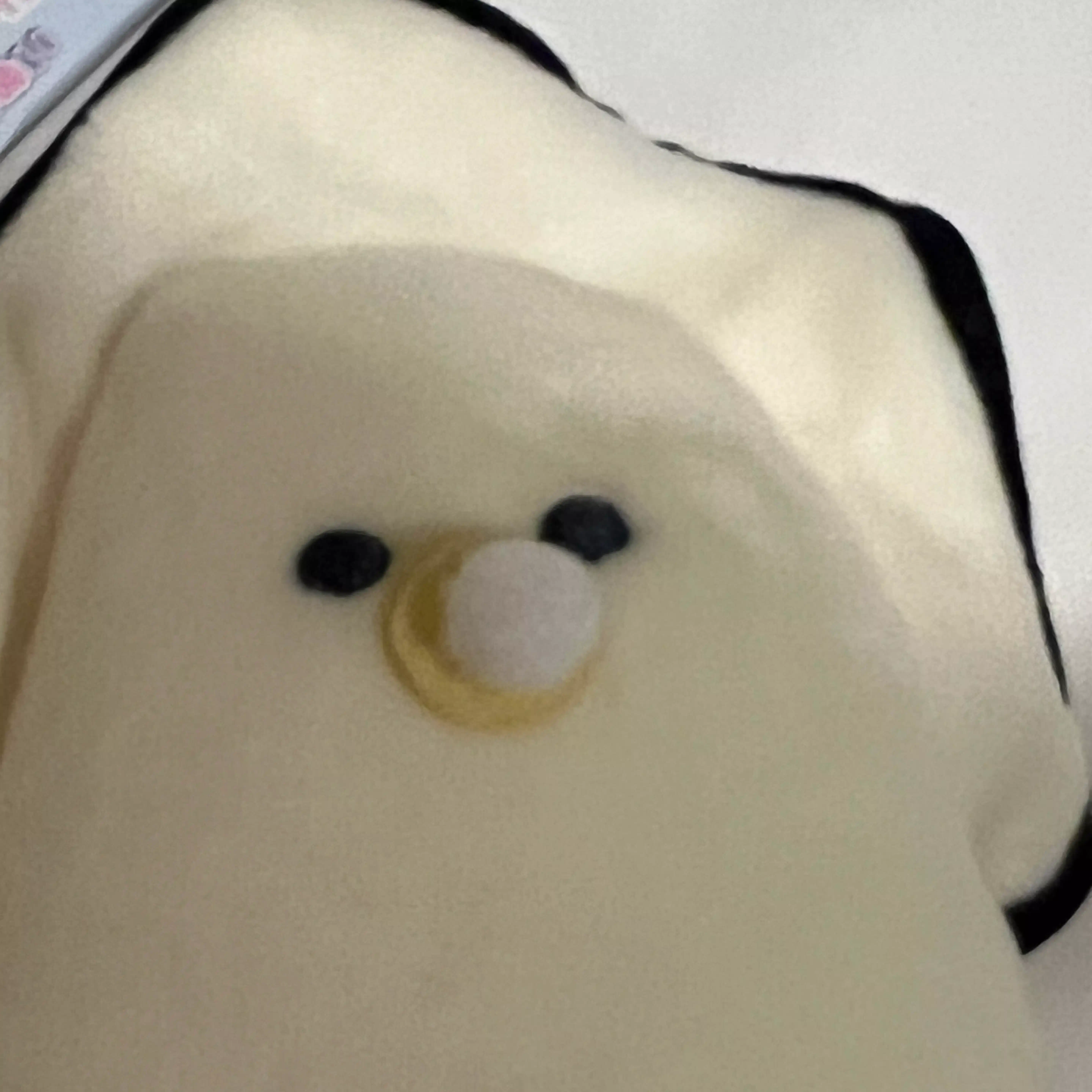 おもち＜日常の方＞