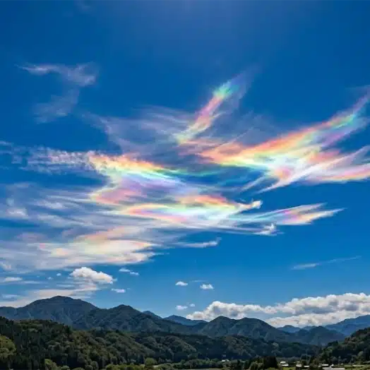 瑞雲