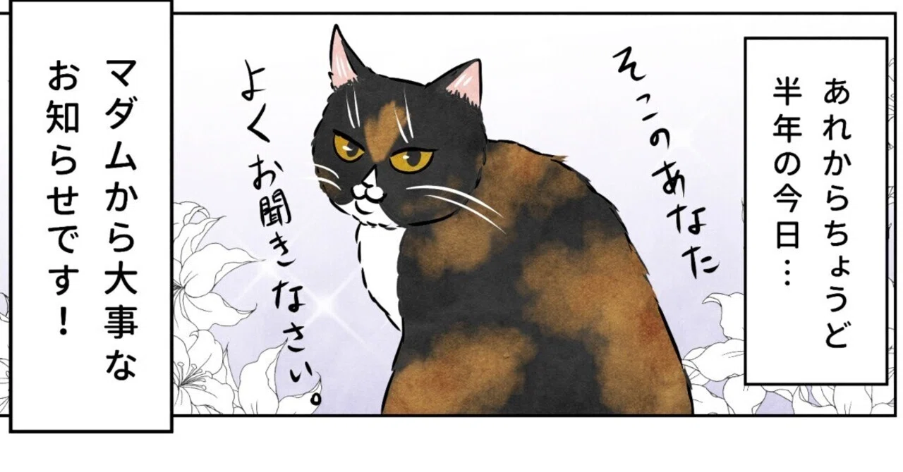 マダムからご報告🌹】｜かんさび