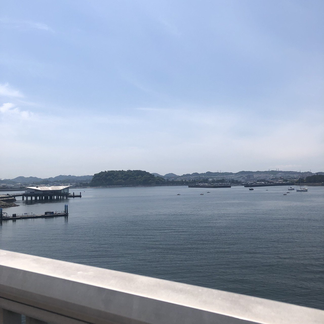 あの日の水族館にて キャス Note あの日の水族館にて キャス Note