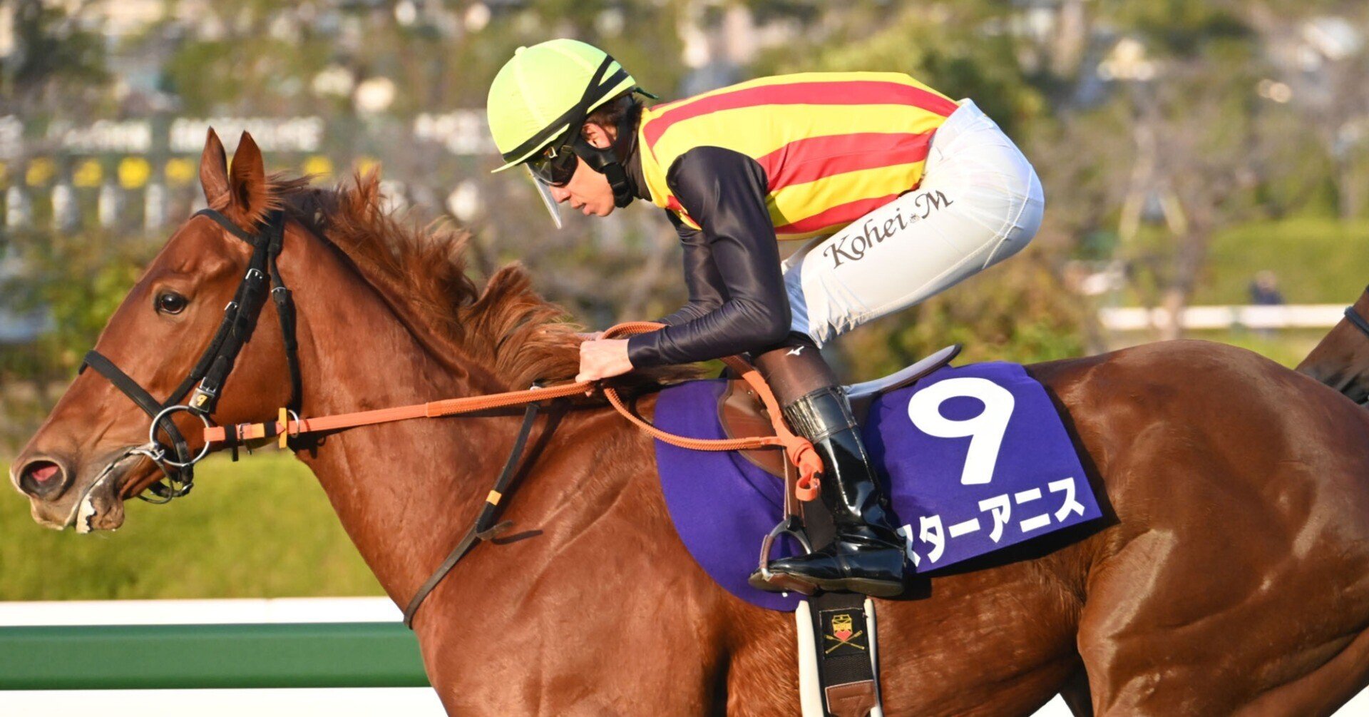 有力馬紹介】桜花賞 2026：美しきヒロインたちの春の祭典！絶対女王に