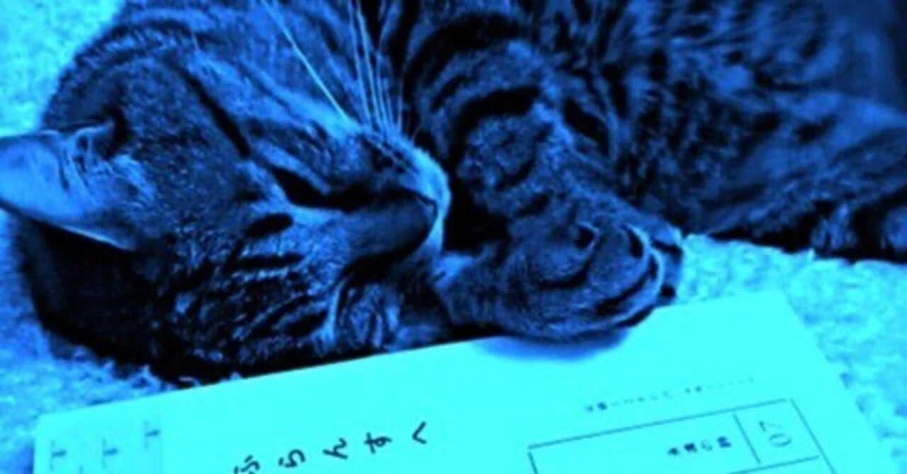 見出し画像