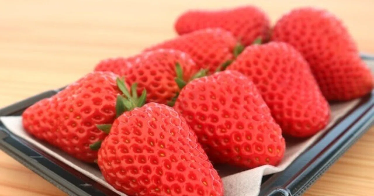 Notice Regarding Strawberry Price Revision｜やくもファーム公式