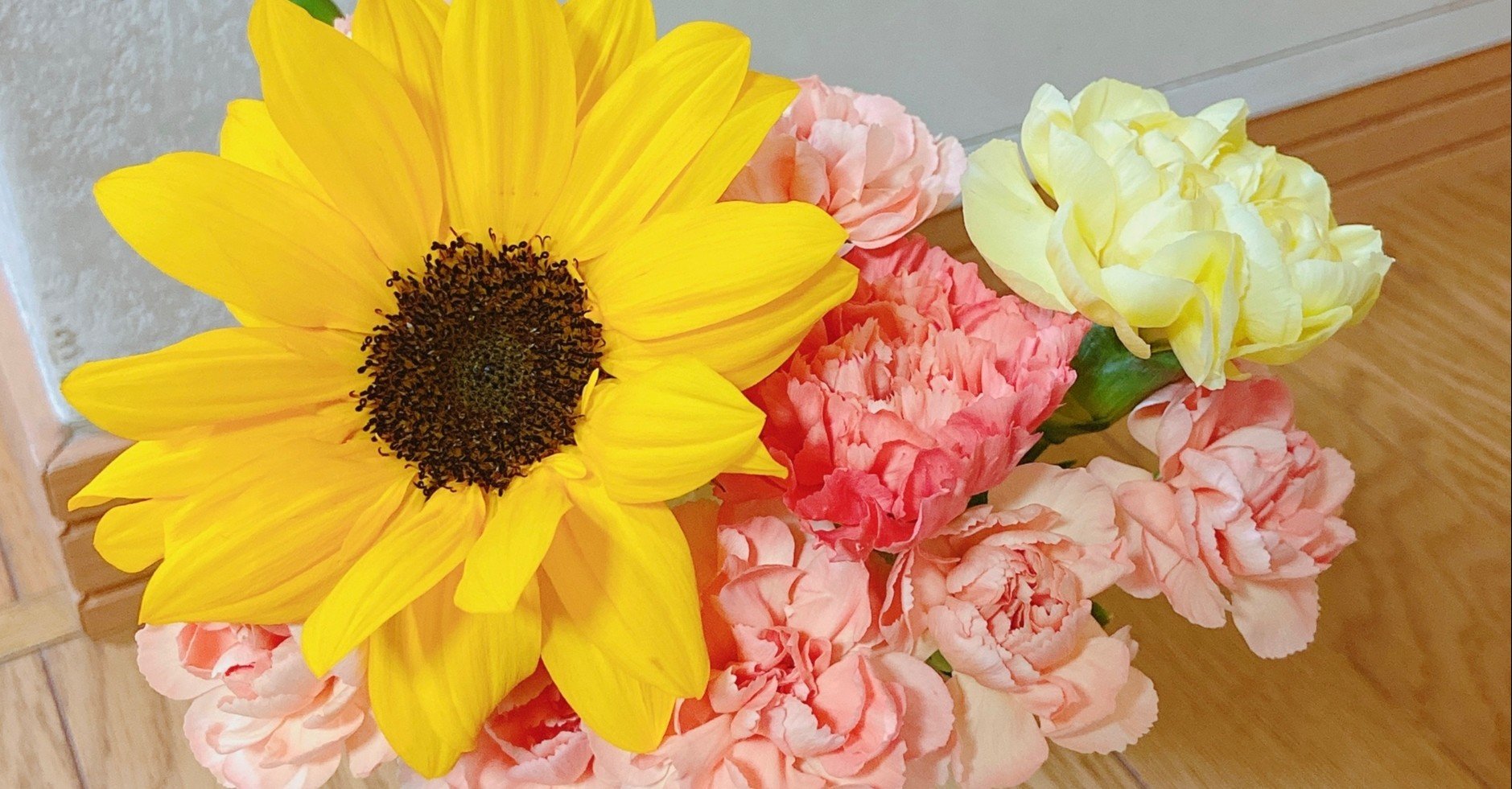 花は元気のバロメーター ともみ Vocal Note