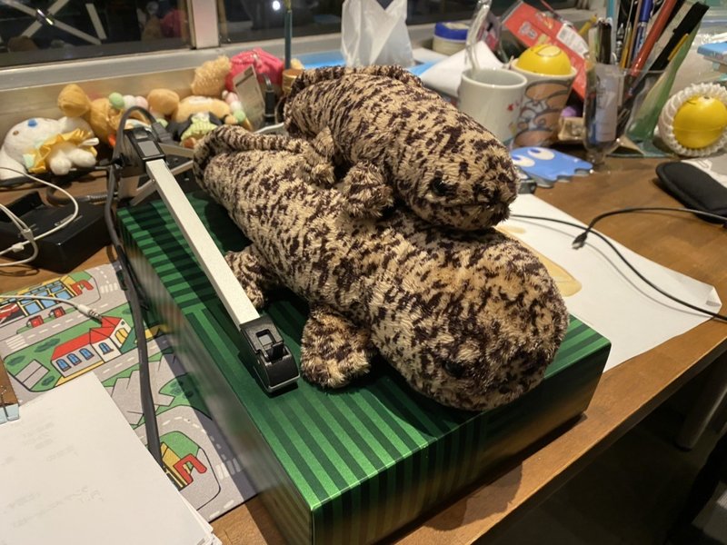 京都水族館のオオサンショウウオぬいぐるみ かわいいもの 神田 Note
