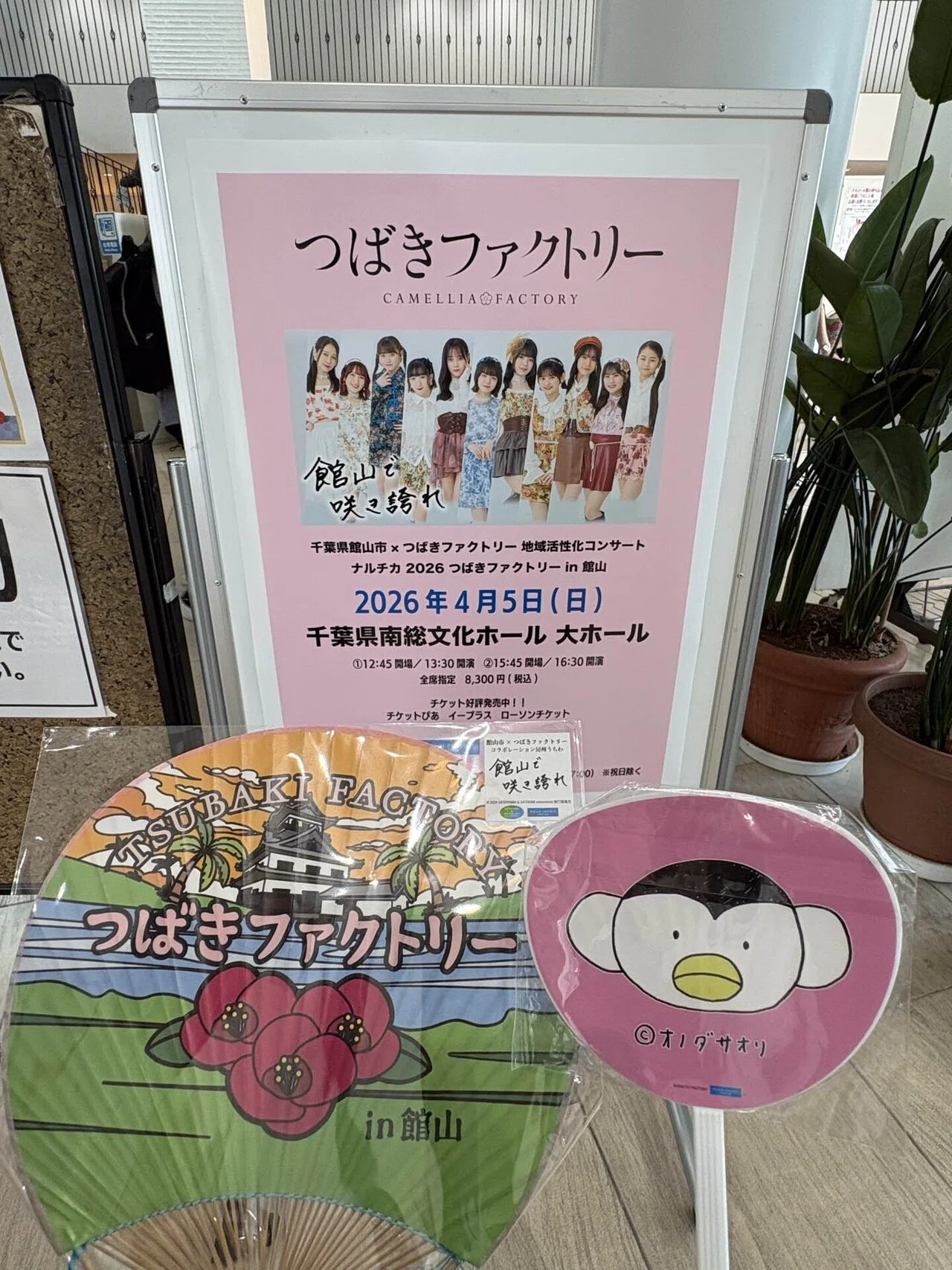 ライブレポ】館山で咲き誇れ！つばきファクトリーと駆け抜けた春の1日
