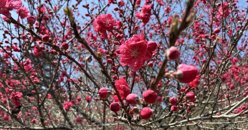 スピリチュアルに効果がないと感じたら見ていただきたいこと