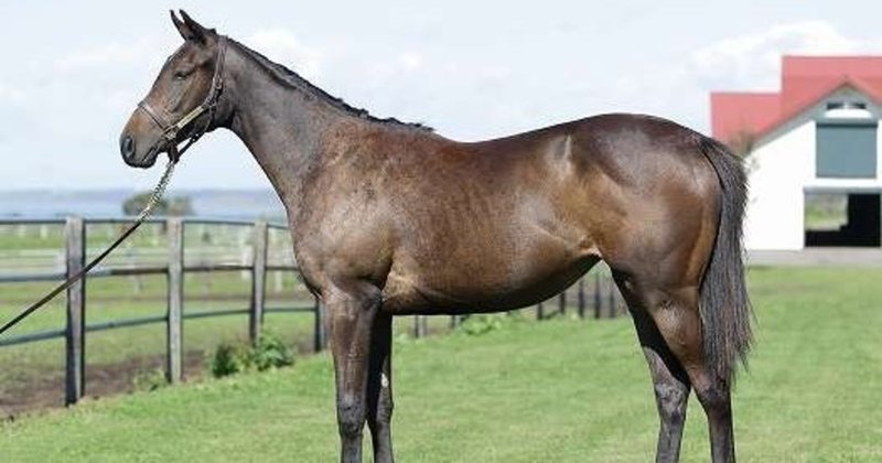 オークスで狙いたい馬 アブレイズ ホウオウピースフル チェーンオブラブ クラヴァシュドールは軽視 撈月らお Note