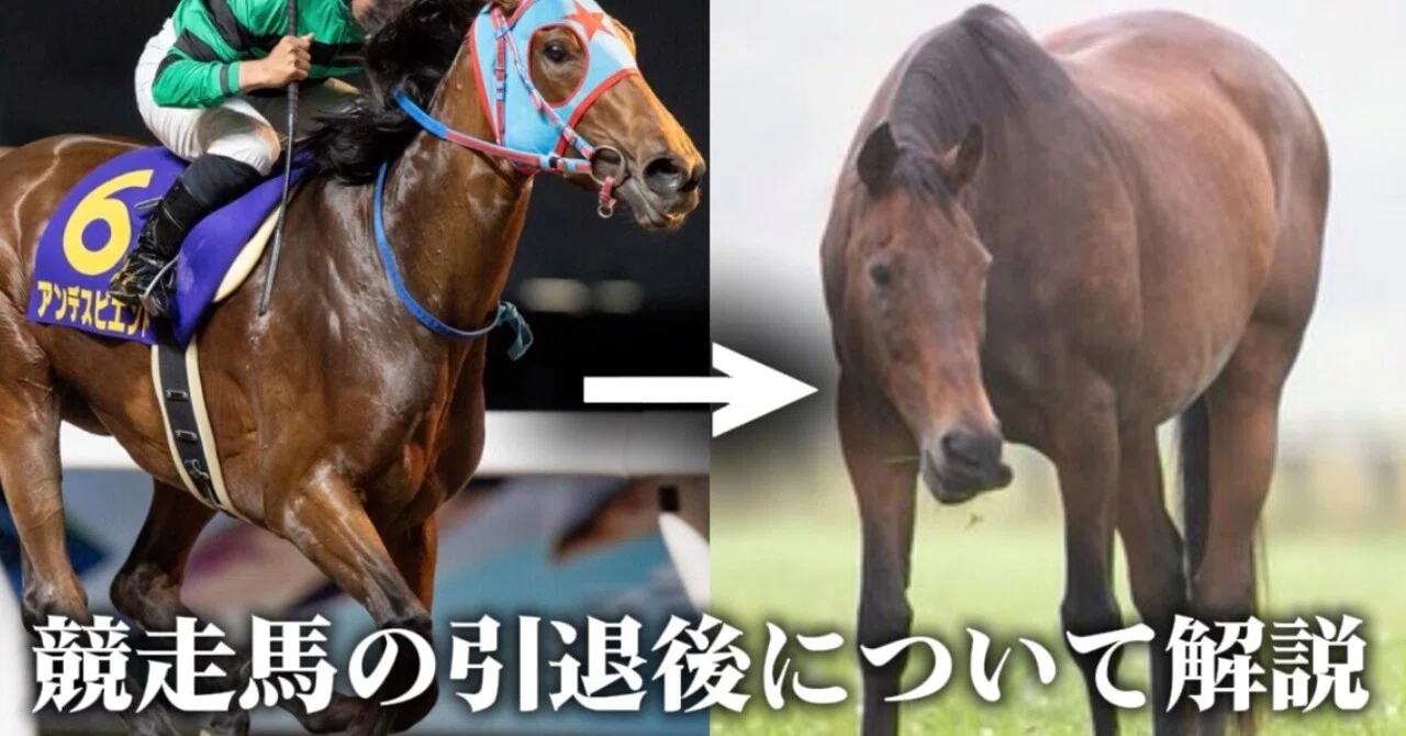 引退した競走馬はどうなる？知られざるその後｜打開師K–競馬解説