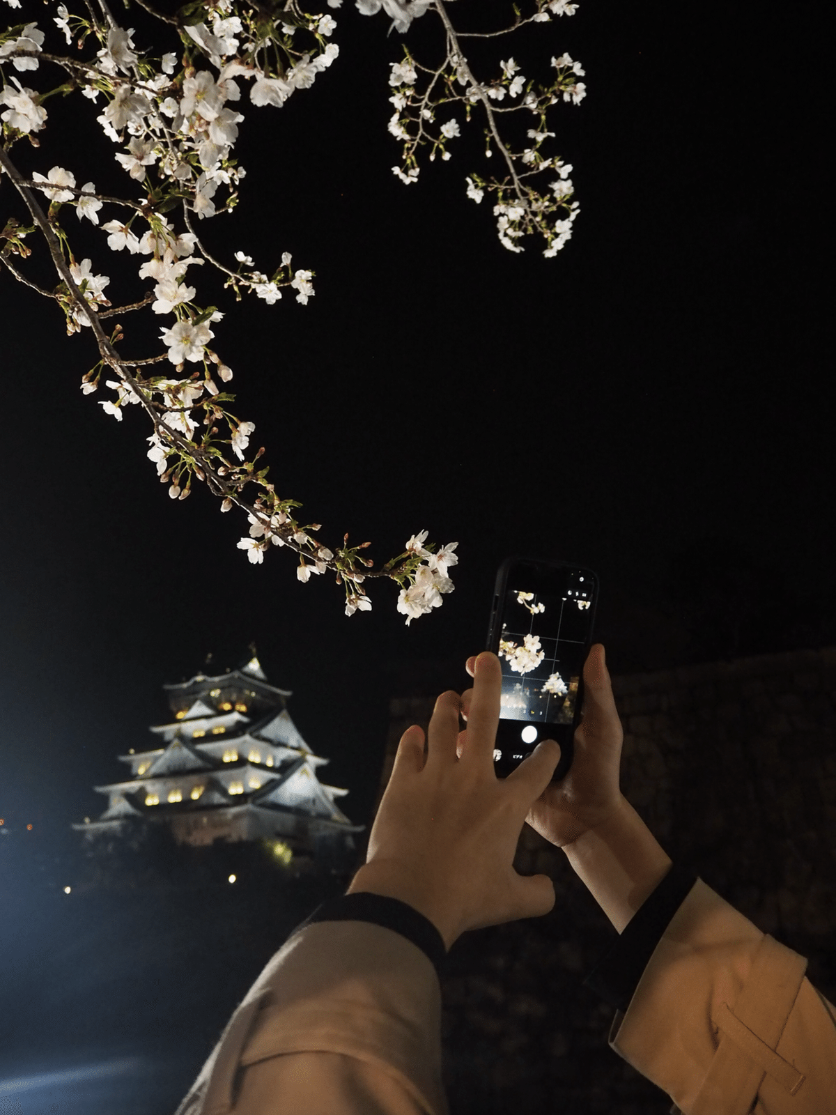 わたしの朝日記(3/30〜4/5)|る。