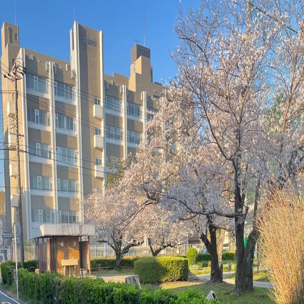 静岡大学情報学部行動情報学科新入生の皆様へ｜森田 純哉 (Junya