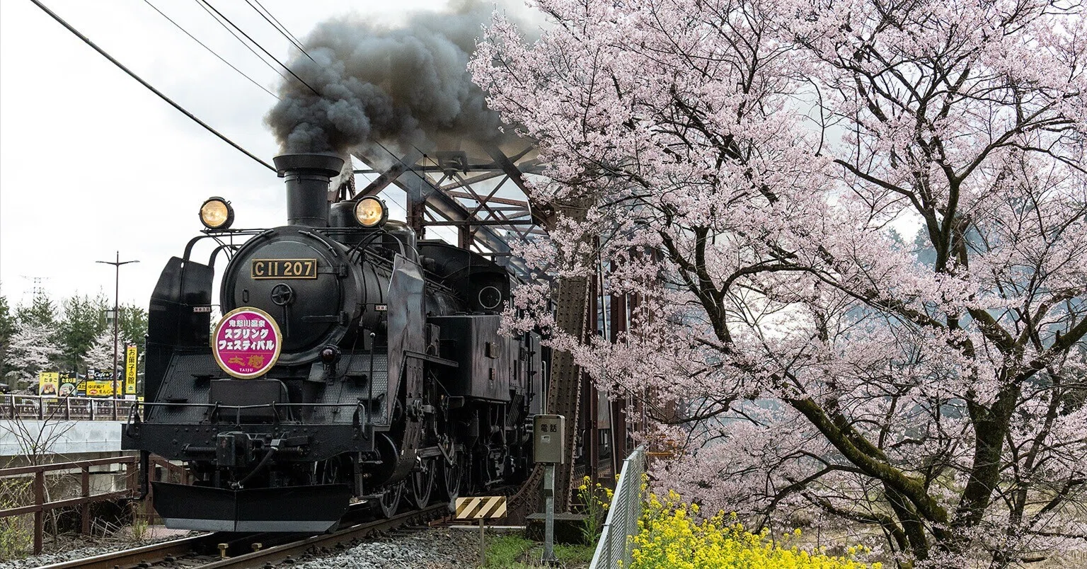 v257, 東武鉄道：桜とSL大樹 （2026年）｜ひろやん